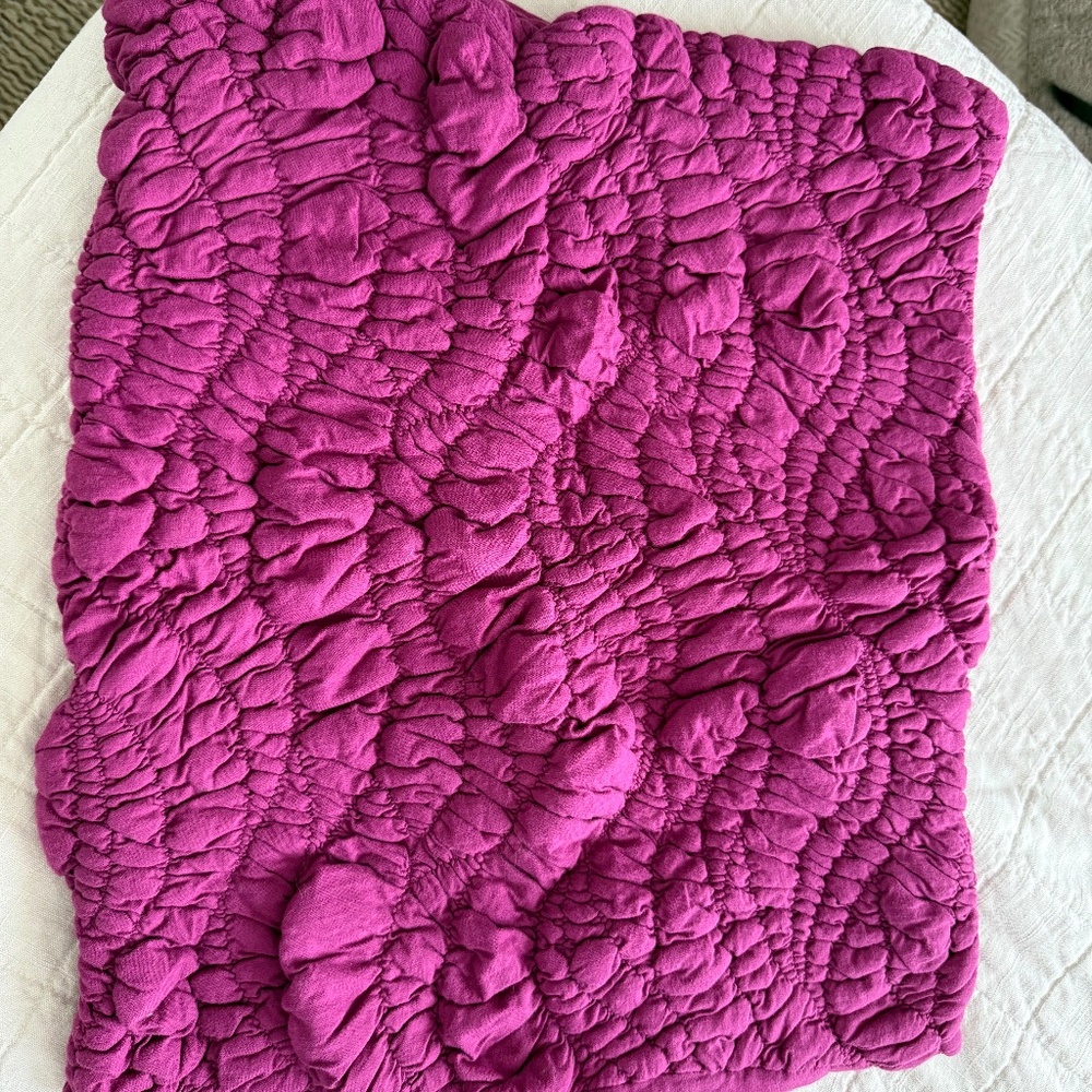 Anthropologie Textured Pillow Shams – Set of 2